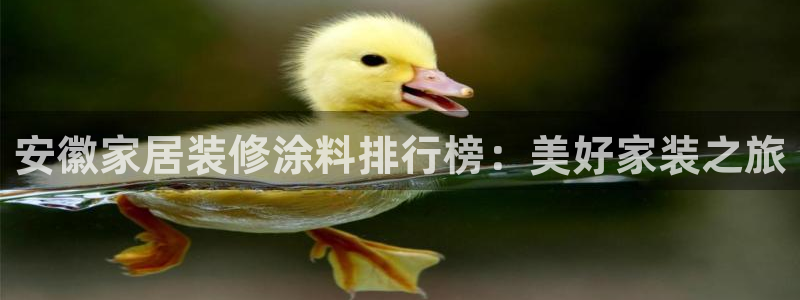 江苏和记数码科技有限公司：安徽家居装修涂料排行榜：美好家装之旅