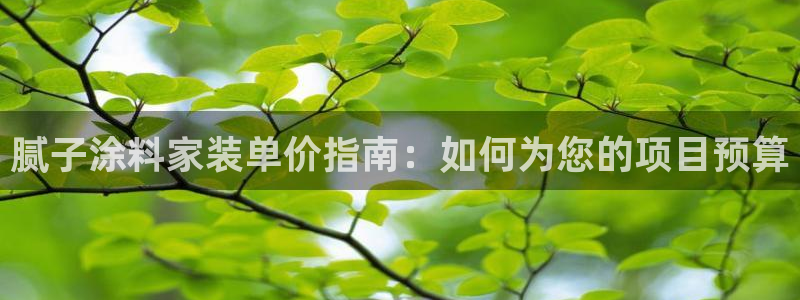 和记官方网址：腻子涂料家装单价指南：如何为您的项目预算