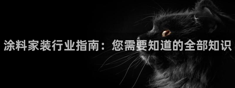 和记平台注册：涂料家装行业指南：您需要知道的全部知识
