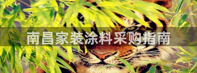 和记h88游戏：南昌家装涂料采购指南