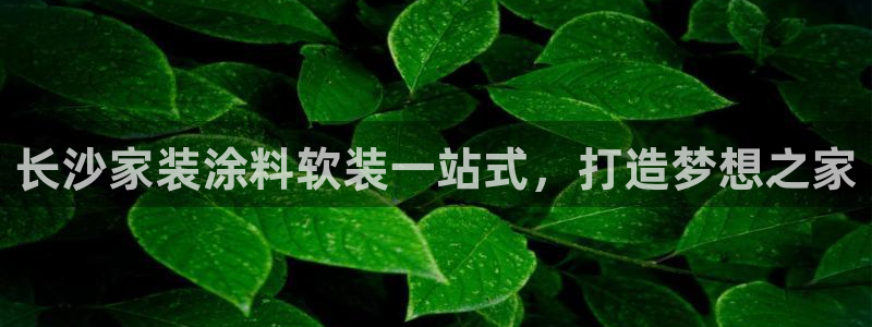 和记网页版登陆：长沙家装涂料软装一站式，打造梦想之家