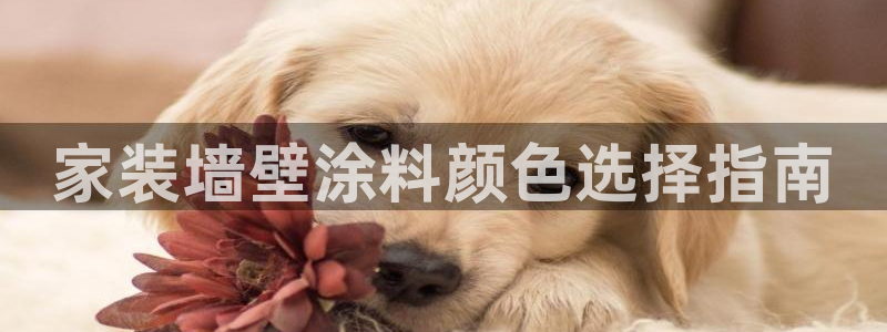 和记平台官网：家装墙壁涂料颜色选择指南