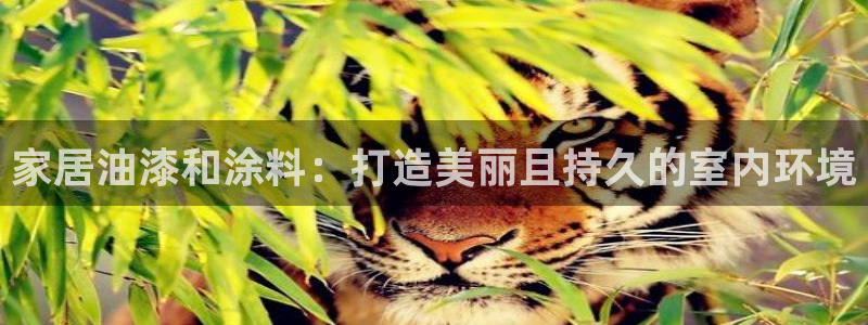 和记平台登录：家居油漆和涂料：打造美丽且持久的室内环境