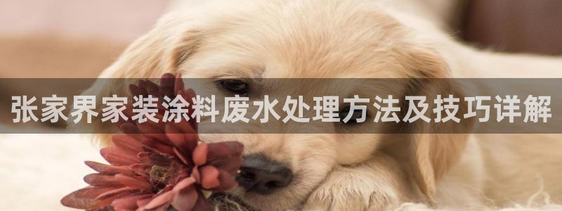 和记ag网址：张家界家装涂料废水处理方法及技巧详解