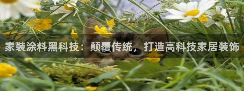 和记app官网登录：家装涂料黑科技：颠覆传统，打造高科技家居装饰