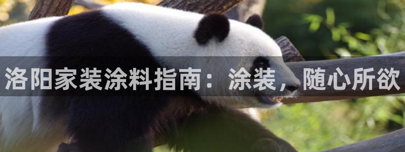 和记ag网页版：洛阳家装涂料指南：涂装，随心所欲