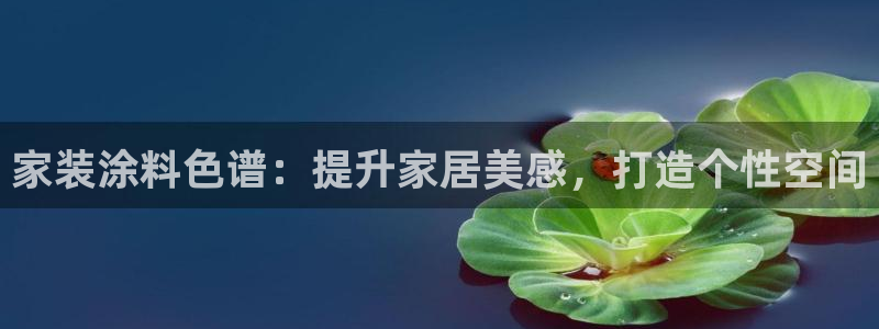 和记国际官网官网