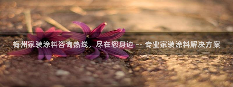 和记 中国官网：梅州家装涂料咨询热线，尽在您身边 -- 专业家装涂料解决方案