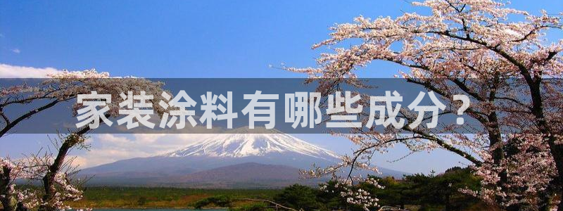 下载和记app