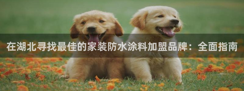 和记ag登录