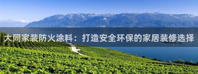 和记h88游戏：大同家装防火涂料：打造安全环保的家居装修选择