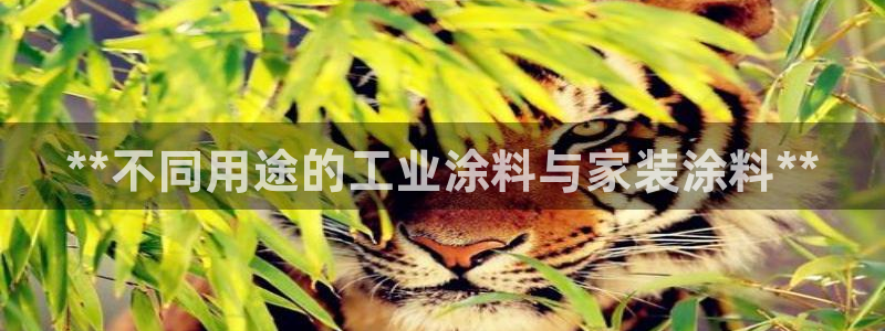 和记ag旗舰国际