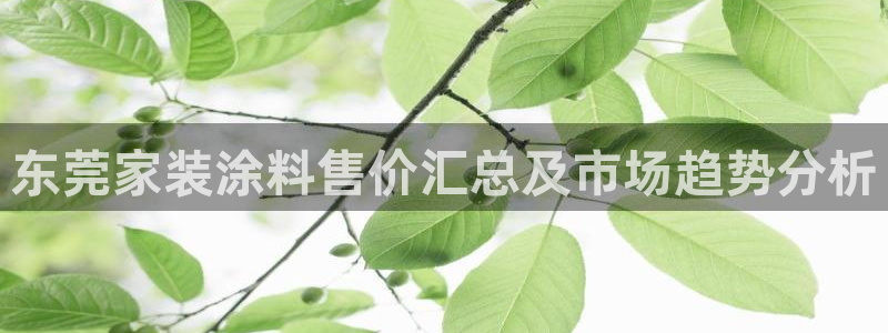 和记官方直营注册导航：东莞家装涂料售价汇总及市场趋势分析