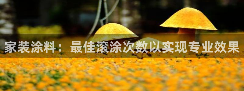 和记注册有什么送的：家装涂料：最佳滚涂次数以实现专业效果