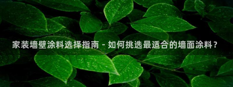 和记下载：家装墙壁涂料选择指南 - 如何挑选最适合的墙面涂料？