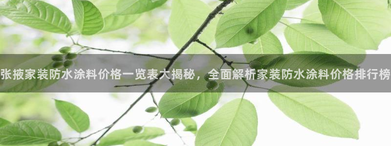 官方和记国际平台登录：张掖家装防水涂料价格一览表大揭秘，全面解析家装防水涂料价格排行榜