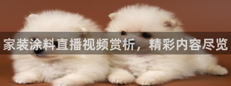 和记AG网站：家装涂料直播视频赏析，精彩内容尽览