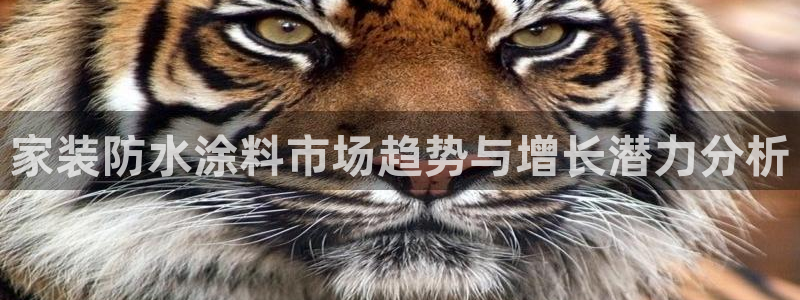和记国际官网官网：家装防水涂料市场趋势与增长潜力分析